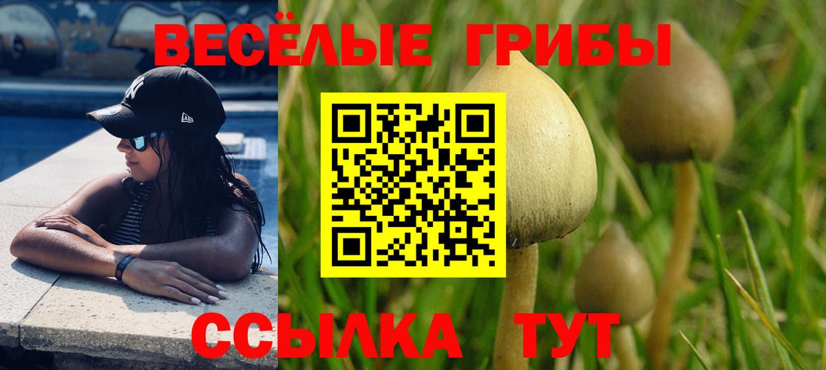 Псилоцибиновые грибы Magic Shrooms  Вход с VPN  Балаково 